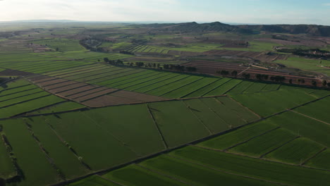 Vista-Aérea-De-Campos-Verdes-España-Paisaje-Agrícola-Agricultura-Rural